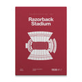 Arkansas College Football Stadium Bold Canvas Art