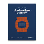 Auburn College Football Stadium Bold Canvas Art