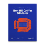 Florida College Football Stadium Bold Canvas Art
