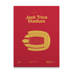 Iowa ST College Football Stadium Bold Canvas Art