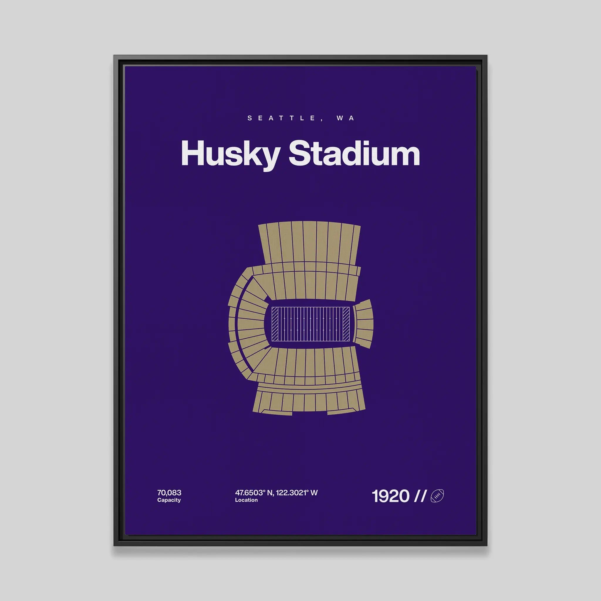 Washington College Football Stadium Bold Canvas Art