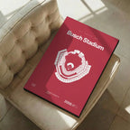 St Louis Baseball Stadium Bold Canvas Art