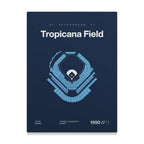 Tampa Bay Baseball Stadium Bold Canvas Art