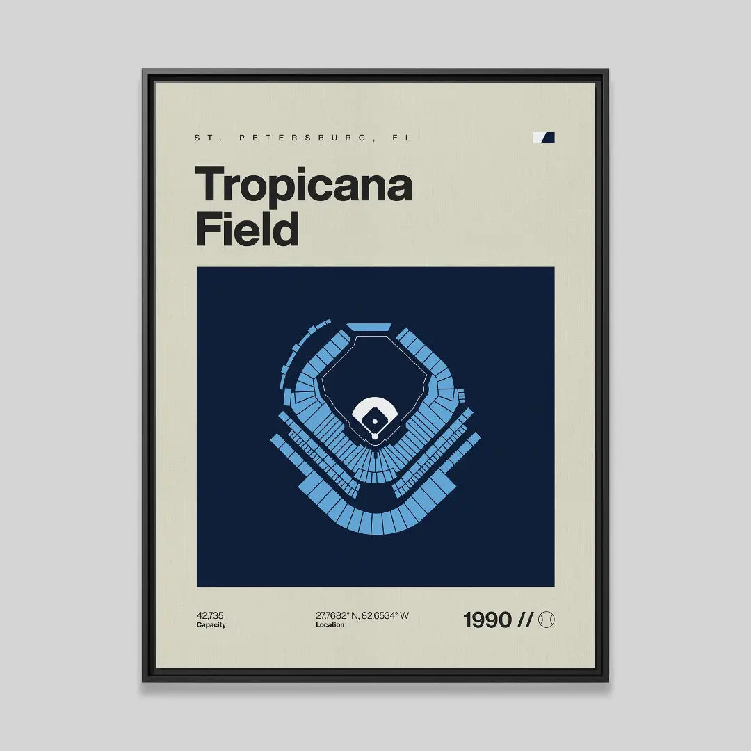 Tampa Bay Baseball Stadium Canvas Art