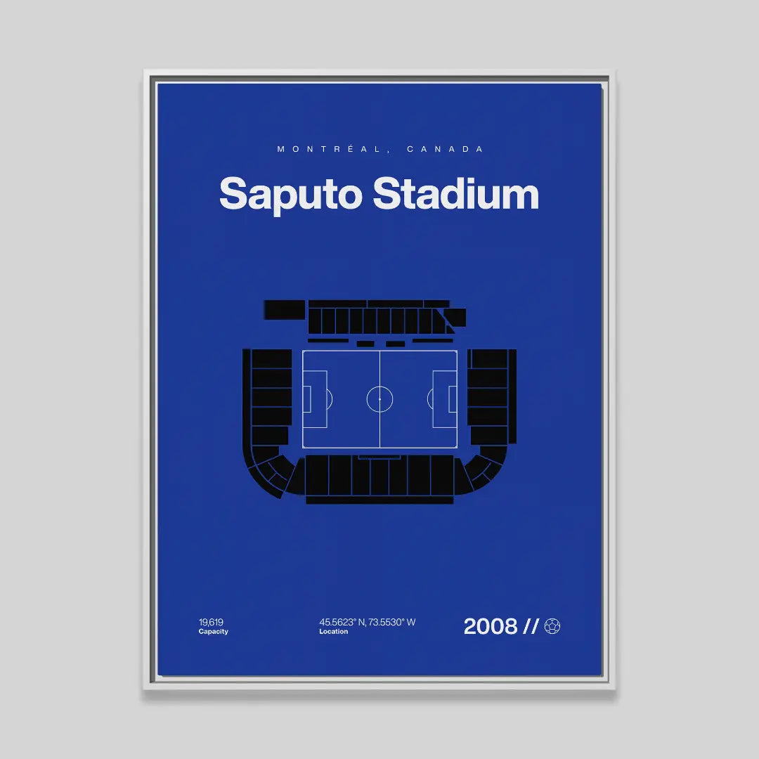 Montreal Soccer Stadium Bold Canvas Art