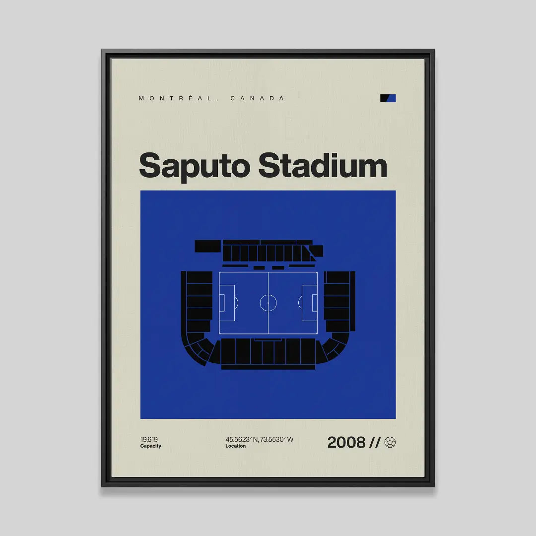 Montreal Soccer Stadium Canvas Art