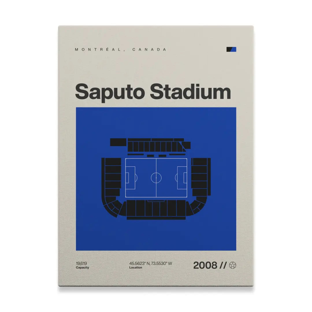 Montreal Soccer Stadium Canvas Art