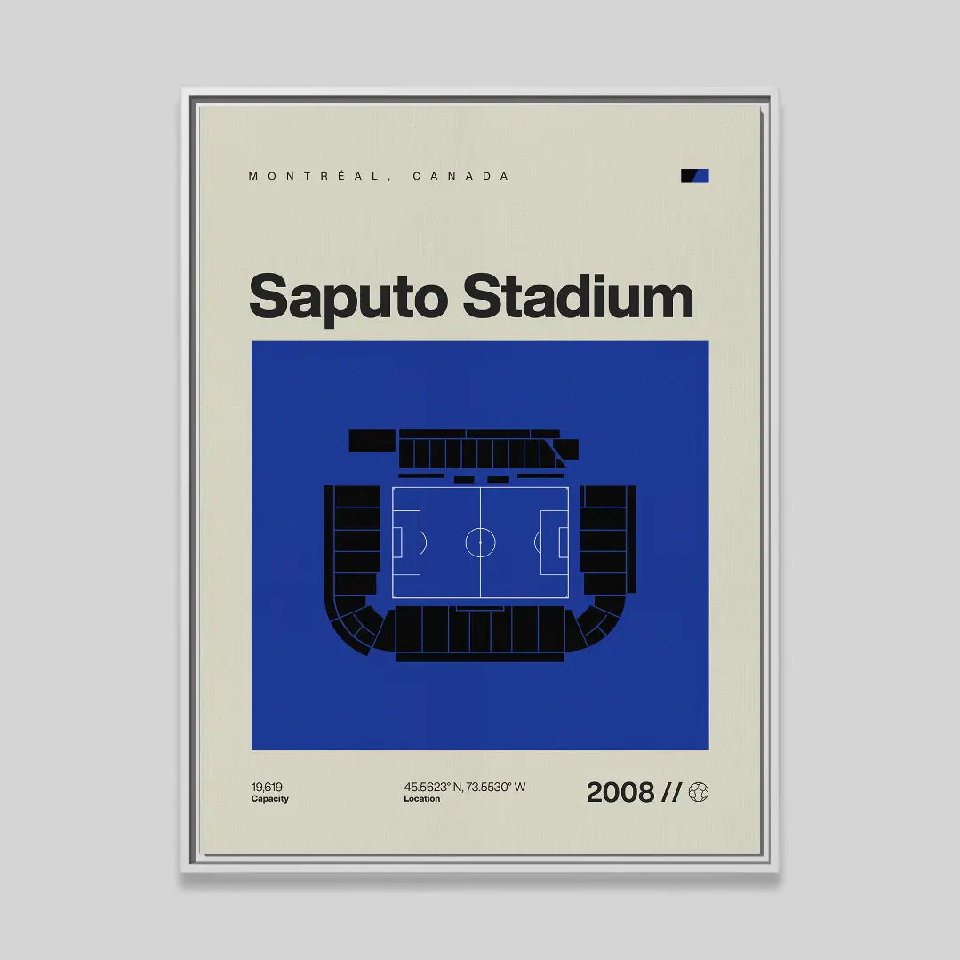 Montreal Soccer Stadium Canvas Art