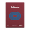 Colorado Hockey Arena Bold Canvas Art