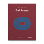 Colorado Hockey Arena Bold Canvas Art
