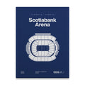 Toronto Hockey Arena Bold Canvas Art