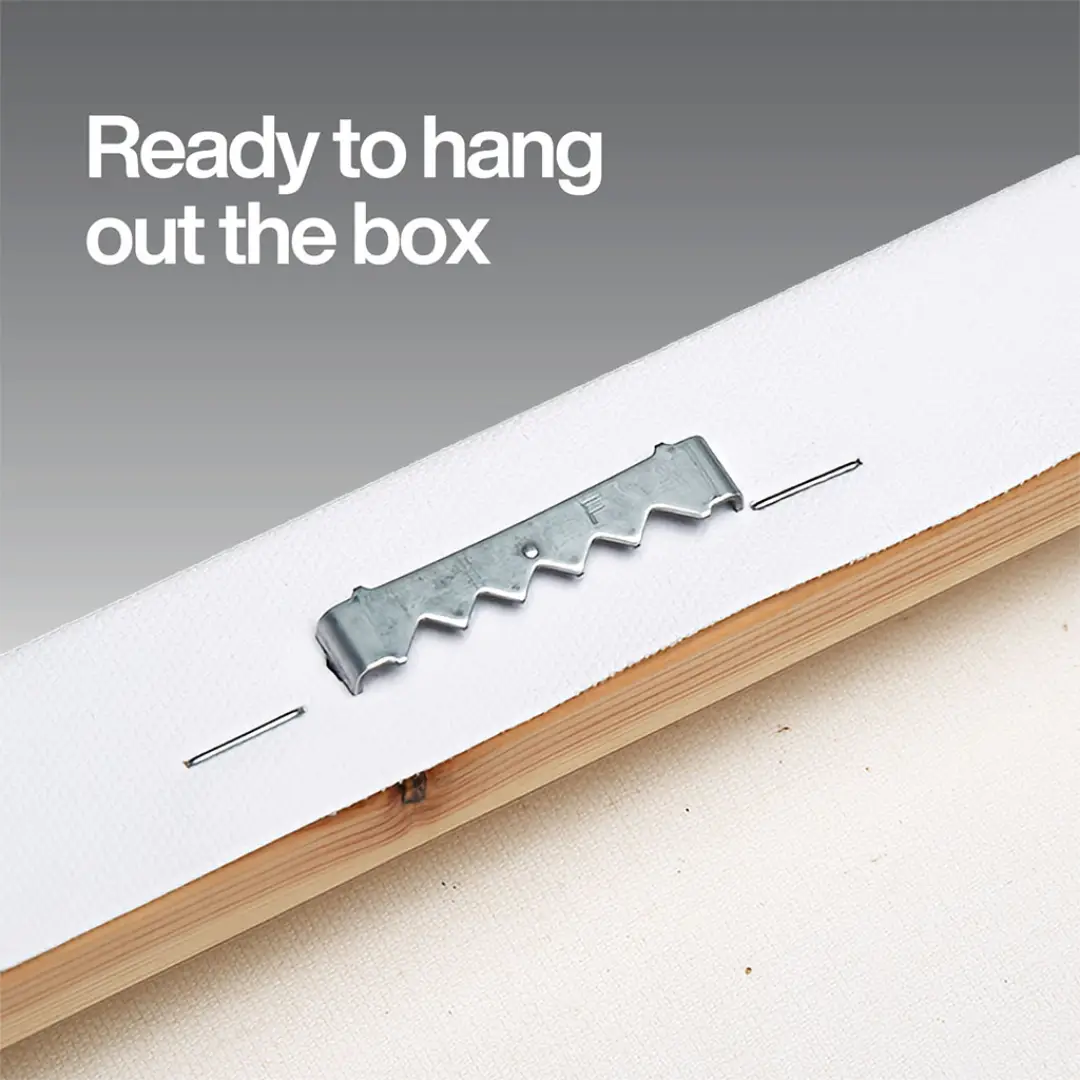 Denver Football Stadium